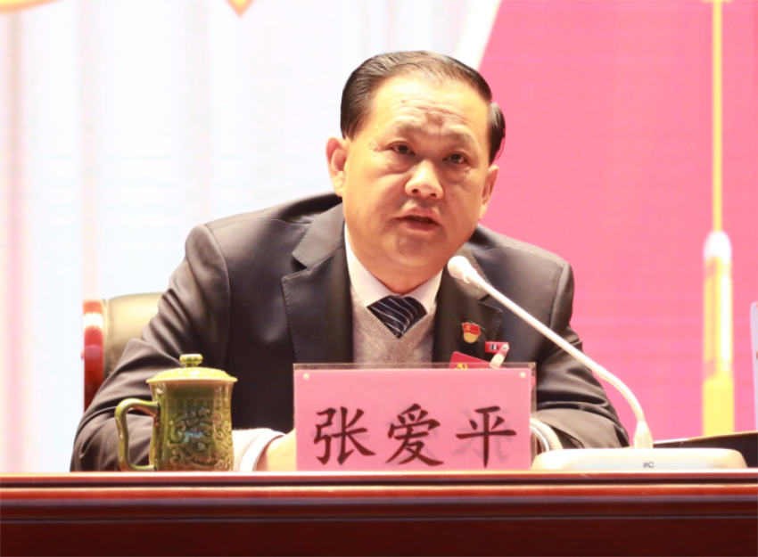 张爱平同志宣读中共九州官方网站第一届党委成员分工及纪委成员分工